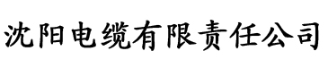 女人自熨叫床电缆厂logo